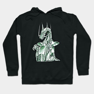 Dragon Cloth Version 1 - Shiryu in Saint Seiya Hoodie